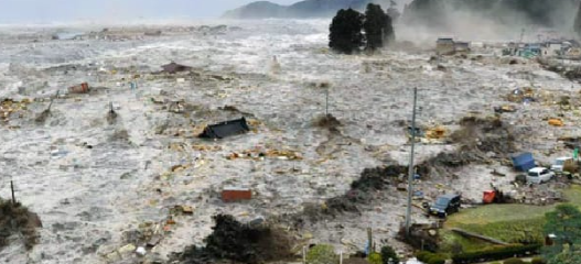 The impact of the tsunami on fishermen